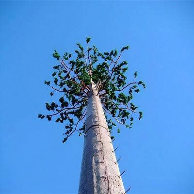40M Bionic Tree Tower avec des troncs artificiels, des branches et des feuilles en plastique et en fibres de verre de haute résistance