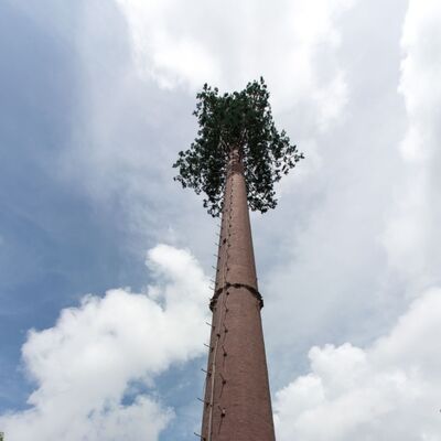 36M Bionic Tree Tower avec des troncs artificiels en fibre de verre durables, des branches et des feuilles avec des plates-formes cachées pour les antennes 5G et les capteurs environnementaux