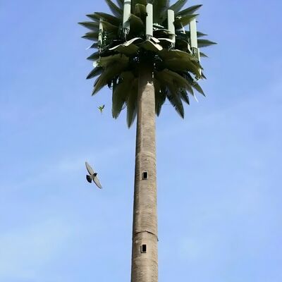 Tour d'arbres bionique artificielle avec ANSI TIA 222 G H F et EN 1991 1 4 EN 1993 3 1 codes de conception pour les infrastructures