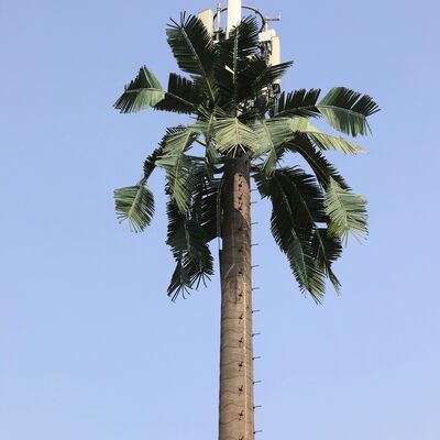 Concevez la tour bionique d'arbre en fonction du client camouflée pour le paysage urbain de région scénique