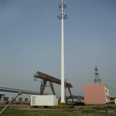 Antenne 40m Monopole pour réseaux décoratif