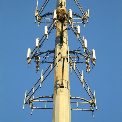 Prix autonome Wifi Téléphone cellulaire longue portée Plateforme de travail Micro-ondes Antenne Monopole en acier Tour