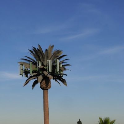 10 20 30 M Palmier Faux Arbre Tour cellulaire Télécommunication camouflée 5-80M