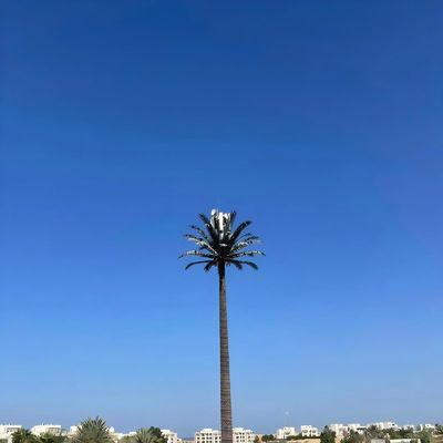 Tour de téléphonie cellulaire camouflée bionique GSM antenne monopole en acier