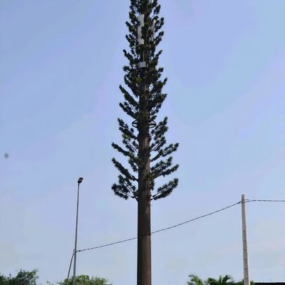 Tour de téléphonie cellulaire camouflée bionique GSM antenne monopole en acier