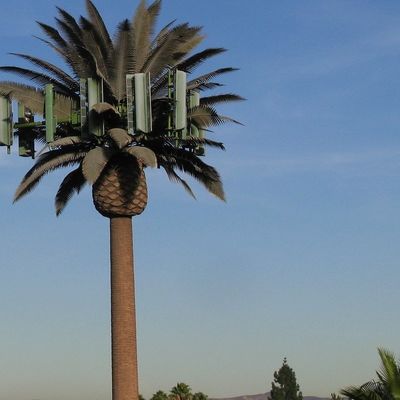 GSM galvanisé Mobile Bionic Palm Tree Antenne Tour à pôle unique 5g Tour Camouflage