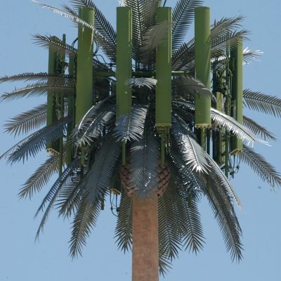 GSM galvanisé Mobile Bionic Palm Tree Antenne Tour à pôle unique 5g Tour Camouflage