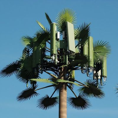 GSM galvanisé Mobile Bionic Palm Tree Antenne Tour à pôle unique 5g Tour Camouflage