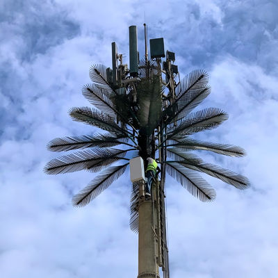GSM galvanisé Mobile Bionic Palm Tree Antenne Tour à pôle unique 5g Tour Camouflage