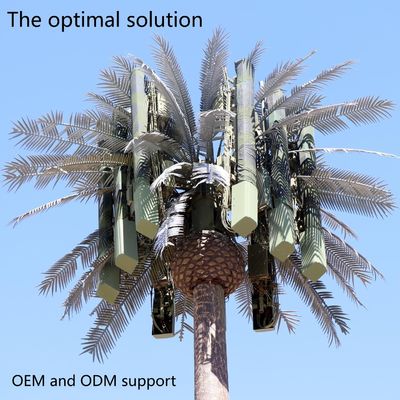 10 20 30 40 50 60 70 80 M Trempé à chaud galvanisé masqué pôle de palmier / pin Micro fausse tour cellulaire Arbres 10 20 30 40 50 60 70 80 M