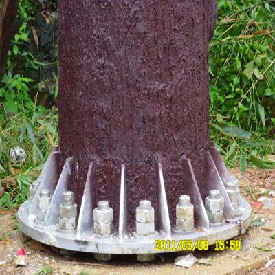 10 16 22M zone résidentielle arbre bionique camouflé en acier galvanisé autosuffisant extérieur 5G 4G Wifi tour de télécommunication