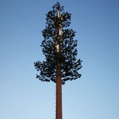 30M Bionic Tree Tower conçu pour reproduire les arbres naturels avec des matériaux durables et des montures d'antenne intégrées pour les télécommunications