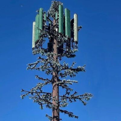 Conception modulaire de Bionic Tree Tower avec des espèces d'arbres personnalisables et des antennes de support de hauteur, des montures de câbles et des capteurs d'énergie renouvelable