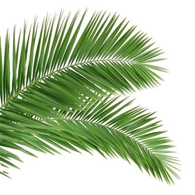 Tour d'arbre bionique à l'aspect d'arbre avec des branches et des troncs en fibre de verre pour une combinaison transparente du paysage