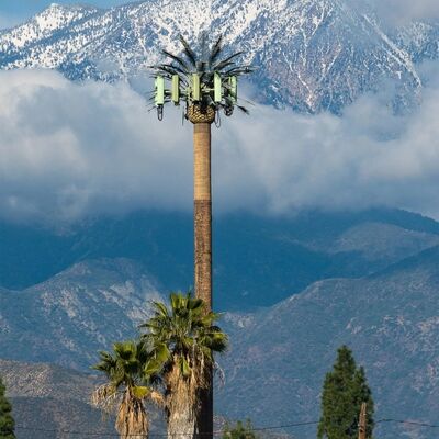 Tour d'arbres bionique artificielle avec ANSI TIA 222 G H F et EN 1991 1 4 EN 1993 3 1 codes de conception pour les infrastructures