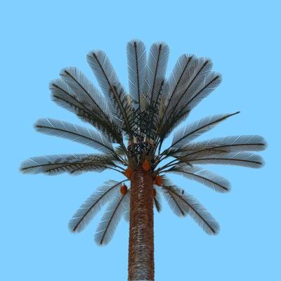 Boulons et écrous artificiels de la tour d'arbre bionique de qualité 4.8 6.8 8.8 répondant aux normes ISO 898 1 sur les propriétés mécaniques