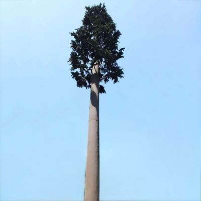 Résistance aux impacts artificiels de la tour d'arbre bionique KV 27 joules à diverses températures pour la fiabilité structurelle