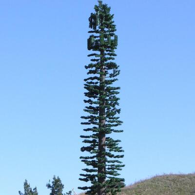 Résistance aux impacts artificiels de la tour d'arbre bionique KV 27 joules à diverses températures pour la fiabilité structurelle