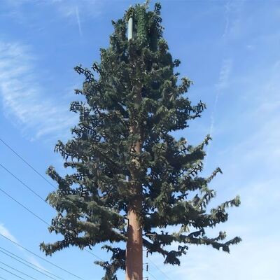 Résistance aux impacts artificiels de la tour d'arbre bionique KV 27 joules à diverses températures pour la fiabilité structurelle