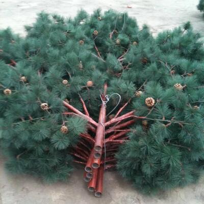 Bionic Tree Tower structure with high tensile steel and mild steel grades meeting ASTM A36 A572 Gr50 and EN10025 standards