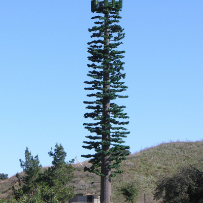 22 28 tour bionique galvanisée de télécom d'arbre par 36 mètres camouflée pour la région scénique touristique