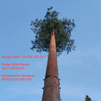 18 27 tour camouflée par 35Meter de télécom de palmier pour le paysage d'hôtel de villégiature