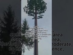 Tour d'arbre bionique