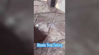 Arbre bionique